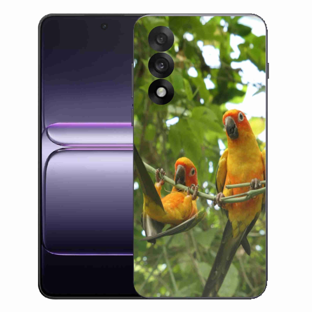 Gél borítás mmCase on One Plus Nord 5 - papagájok aratingy