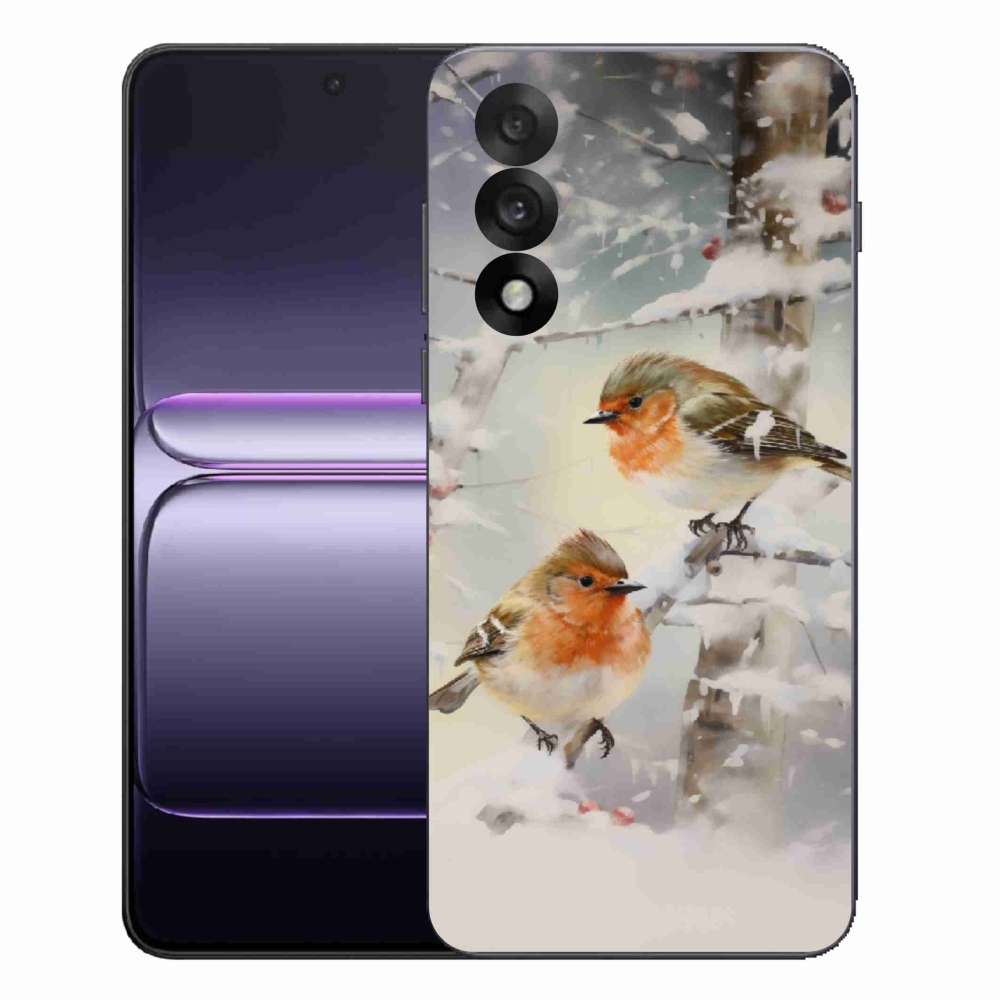 Zselés borítás mmCase a One Plus Nord 5 készülékhez - madarak télen