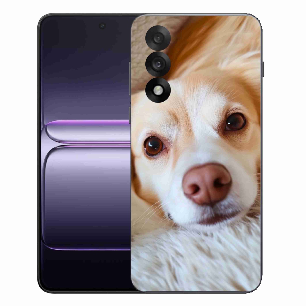 Gél borítás mmCase a One Plus Nord 5 készülékhez - Aranyos Chihuahua