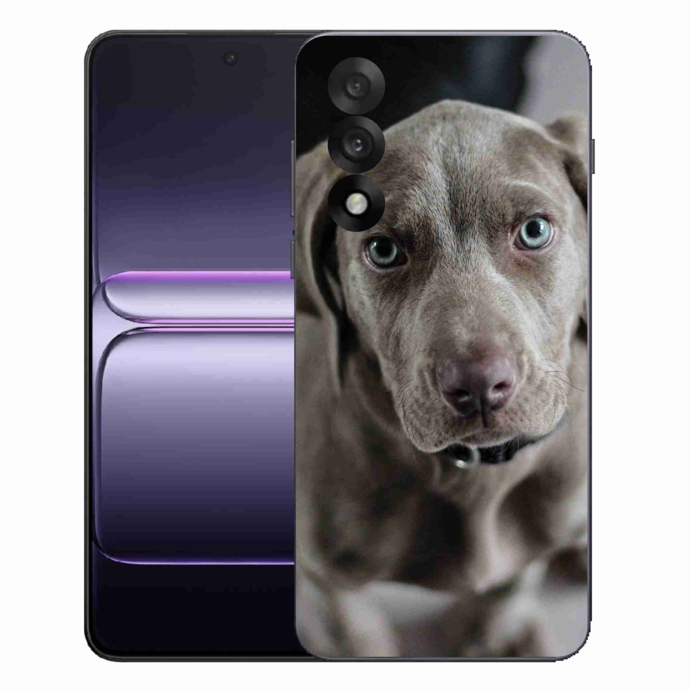 Zselés borítás mmCase a One Plus Nord 5 készülékhez - Weimaraner