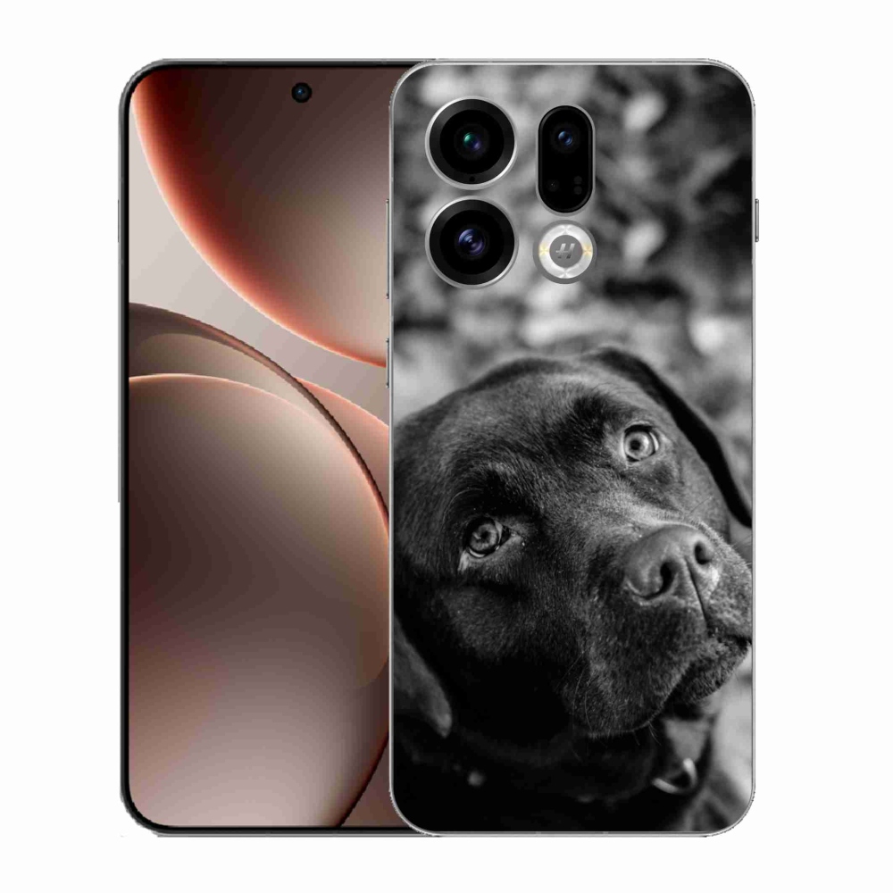 Gél borítás mmCase az Oppo Find X9 számára - labrador