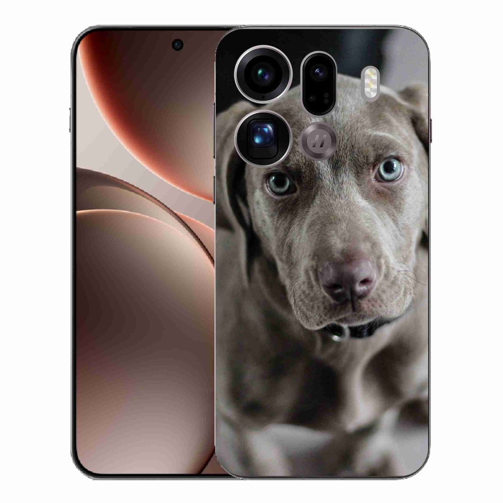 Gél borítás mmCase az Oppo Find X9 Pro számára - a nemes vadászkutya