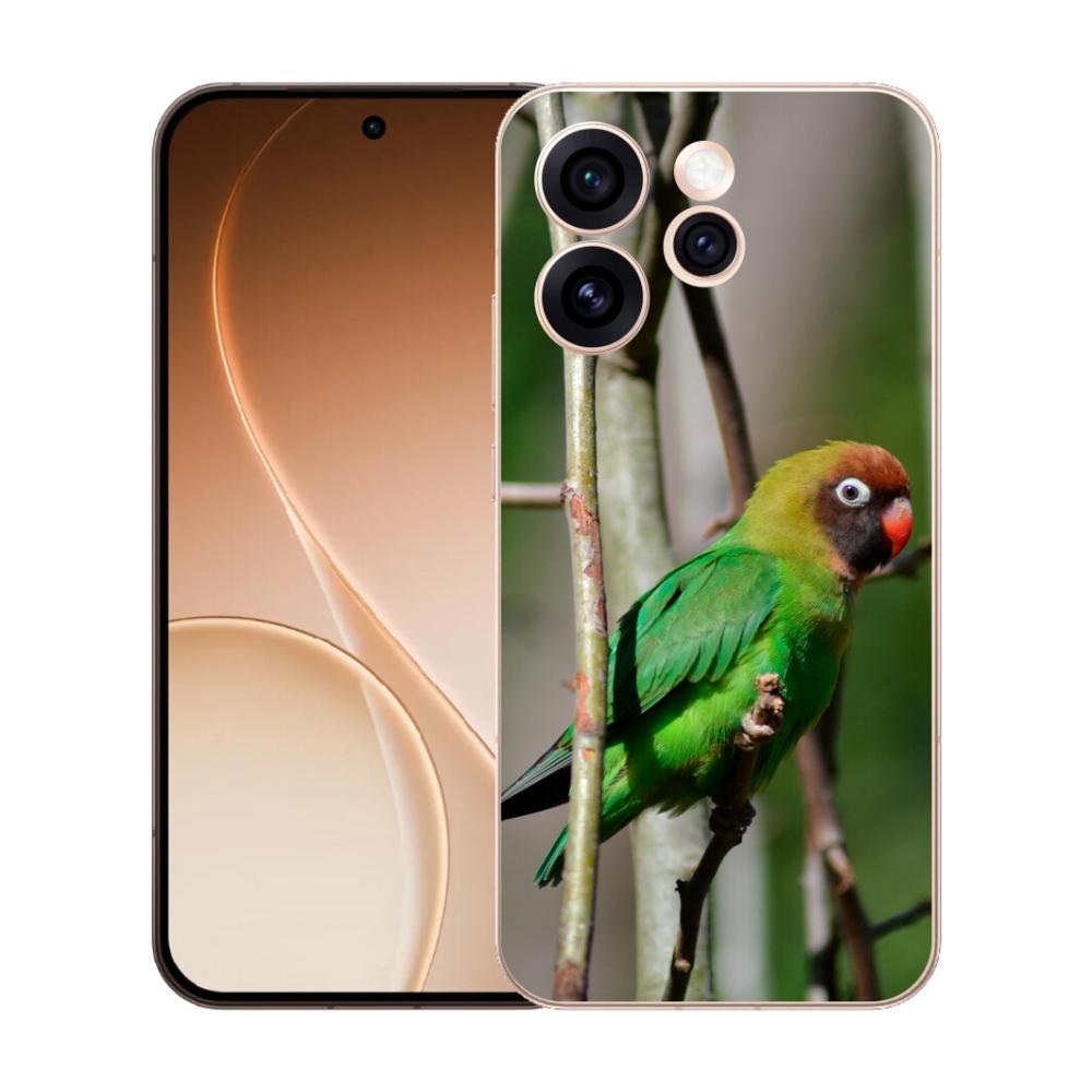 mmCase gél tok az Oppo Reno 15 Pro 5G-hez – agapornis papagáj
