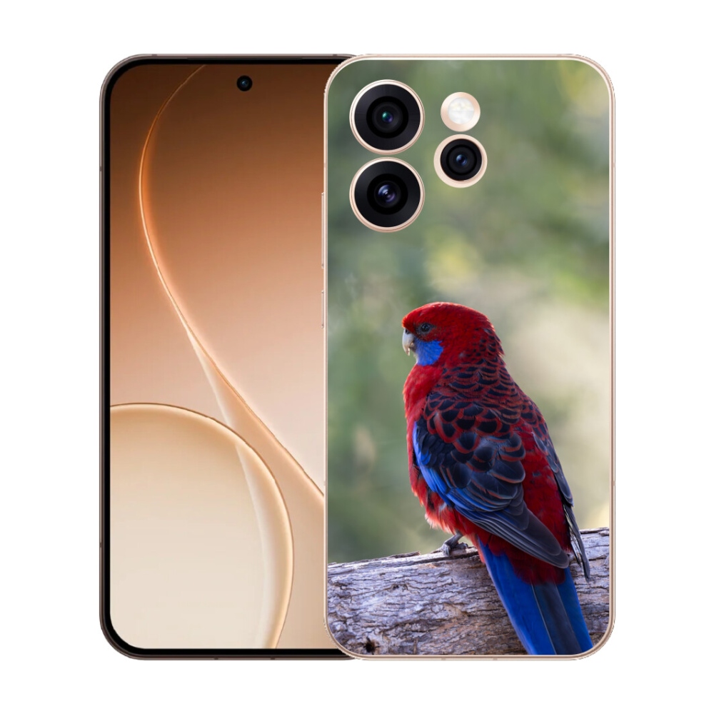 mmCase gél tok az Oppo Reno 15 Pro 5G-hez – Rosella papagáj