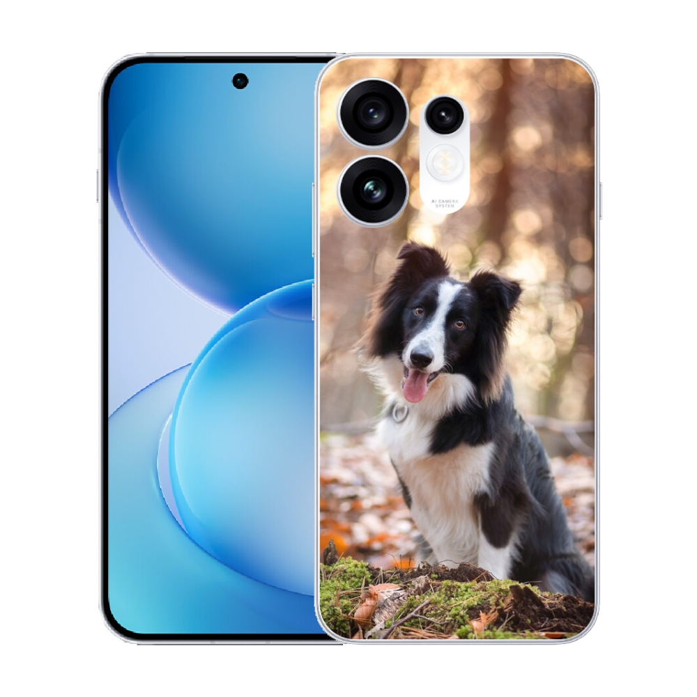 mmCase géltok az Oppo Reno 16 5G-hez – border collie 1