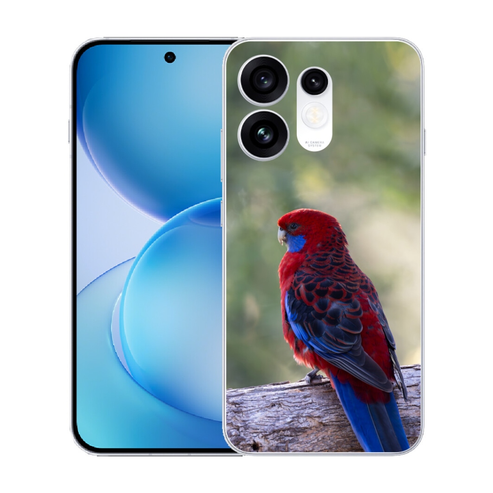 mmCase géltok az Oppo Reno 16 5G-hez – rosella papagáj
