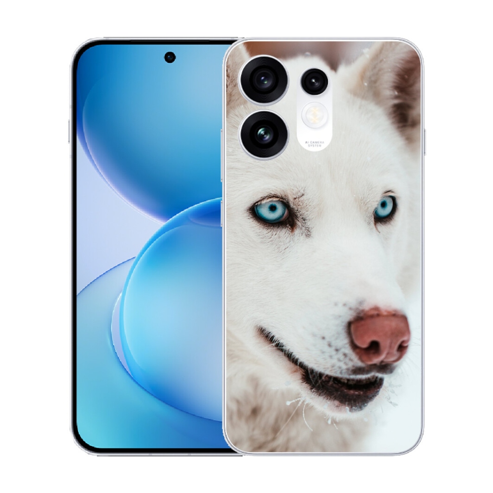 mmCase géltok az Oppo Reno 16 5G-hez – kutyaszemszögből