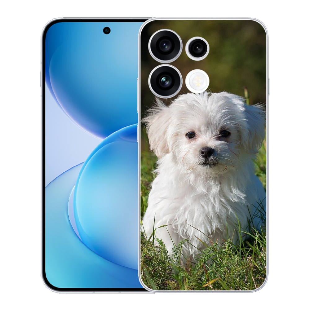 mmCase géltok az Oppo Reno 16 FS 5G-hez – bichon frisé