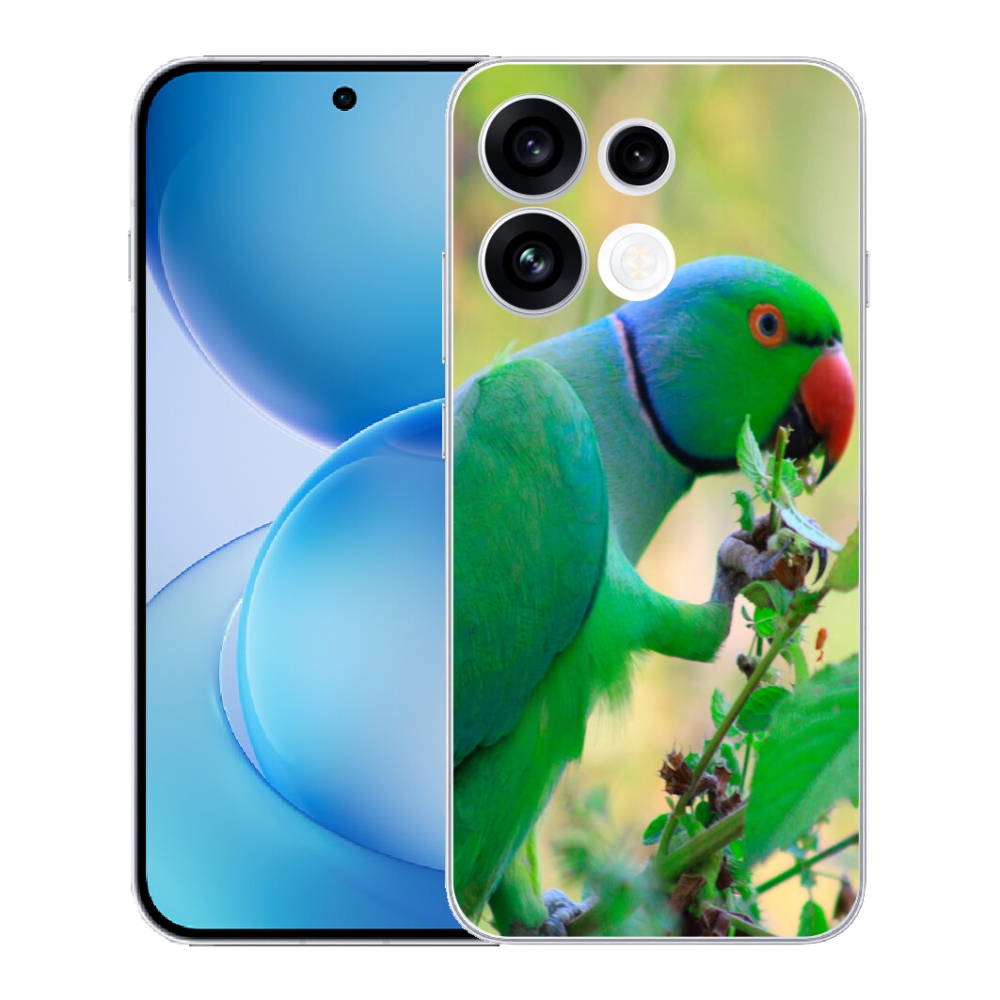 mmCase géltok az Oppo Reno 16 FS 5G-hez – alexandri papagáj