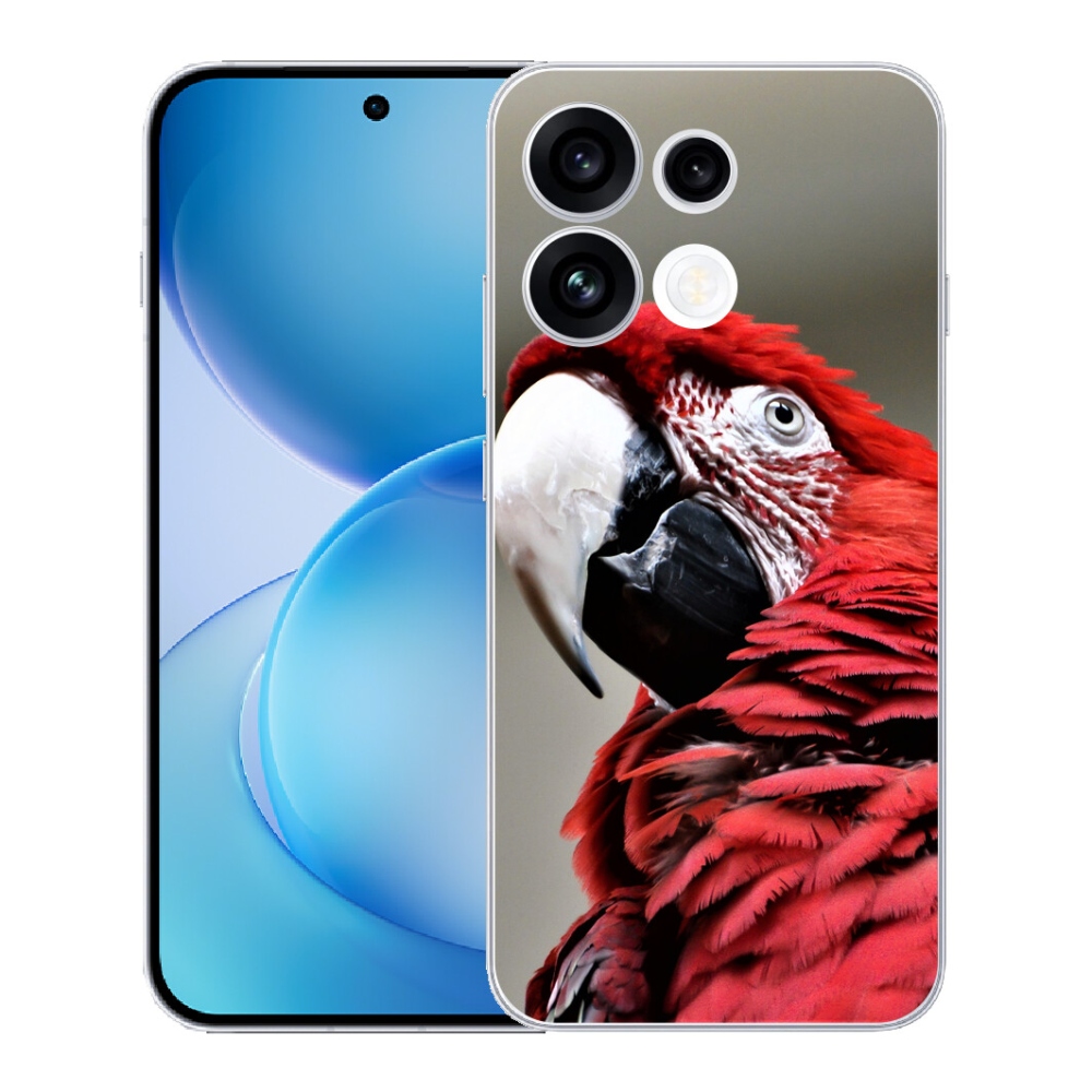 mmCase géltok az Oppo Reno 16 FS 5G-hez – vörös ara papagáj