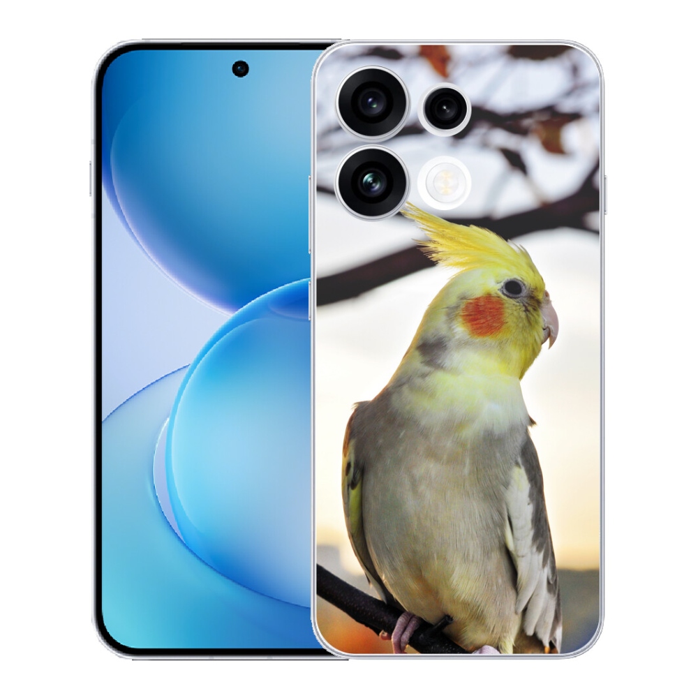 mmCase géltok az Oppo Reno 16 FS 5G-hez – korella papagáj