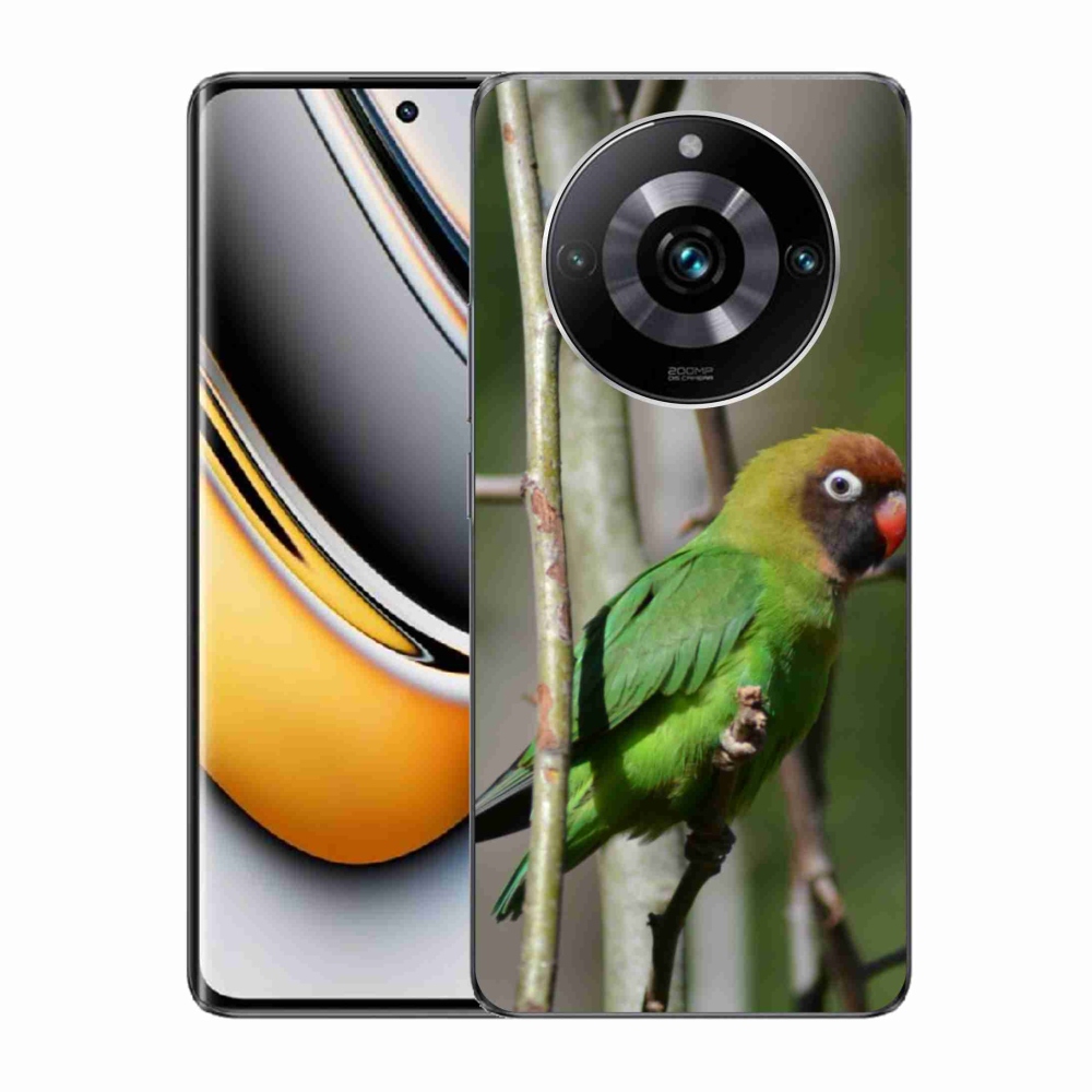 mmCase géltok a Realme 11 Pro 5G/11 Pro+ 5G készülékekhez – agapornis papagáj