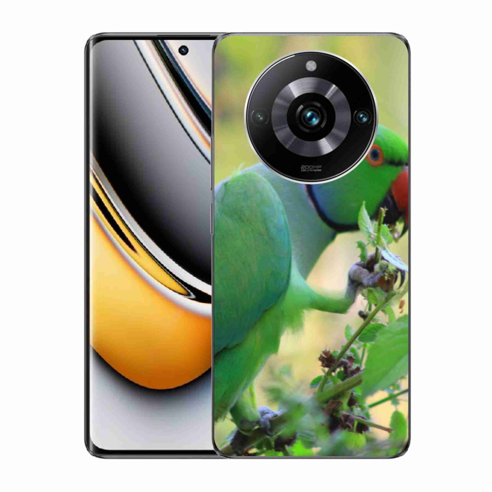 mmCase géltok a Realme 11 Pro 5G/11 Pro+ 5G készülékekhez – alexandri papagáj