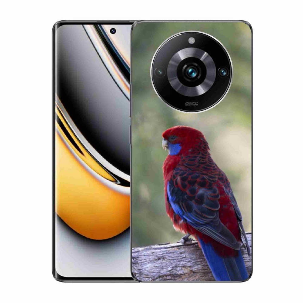 mmCase géltok a Realme 11 Pro 5G/11 Pro+ 5G készülékekhez – rosella papagáj
