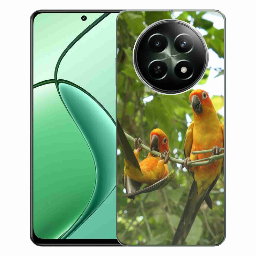 mmCase gél tok a Realme 12 5G/12x 5G-hez – papagájok és aratingák