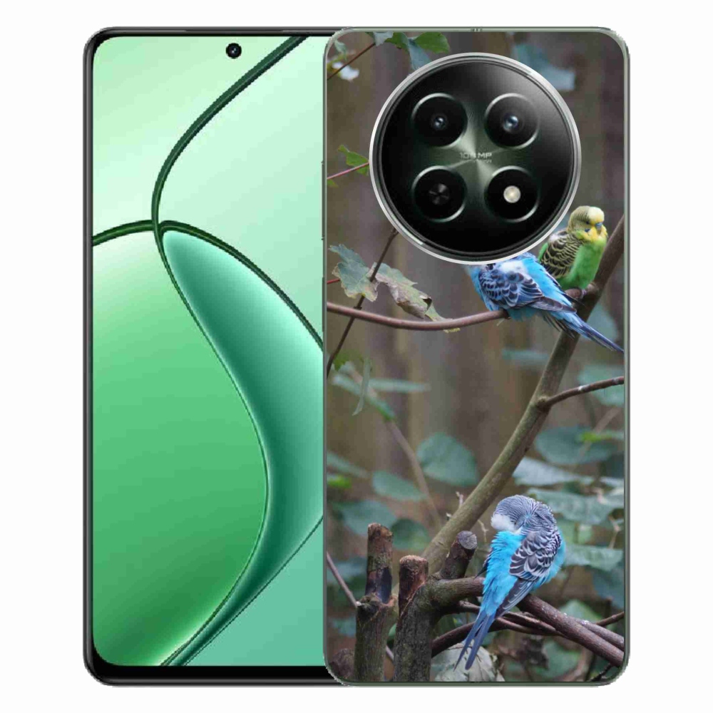 mmCase gél tok a Realme 12 5G/12x 5G készülékhez – papagájok egy ágon
