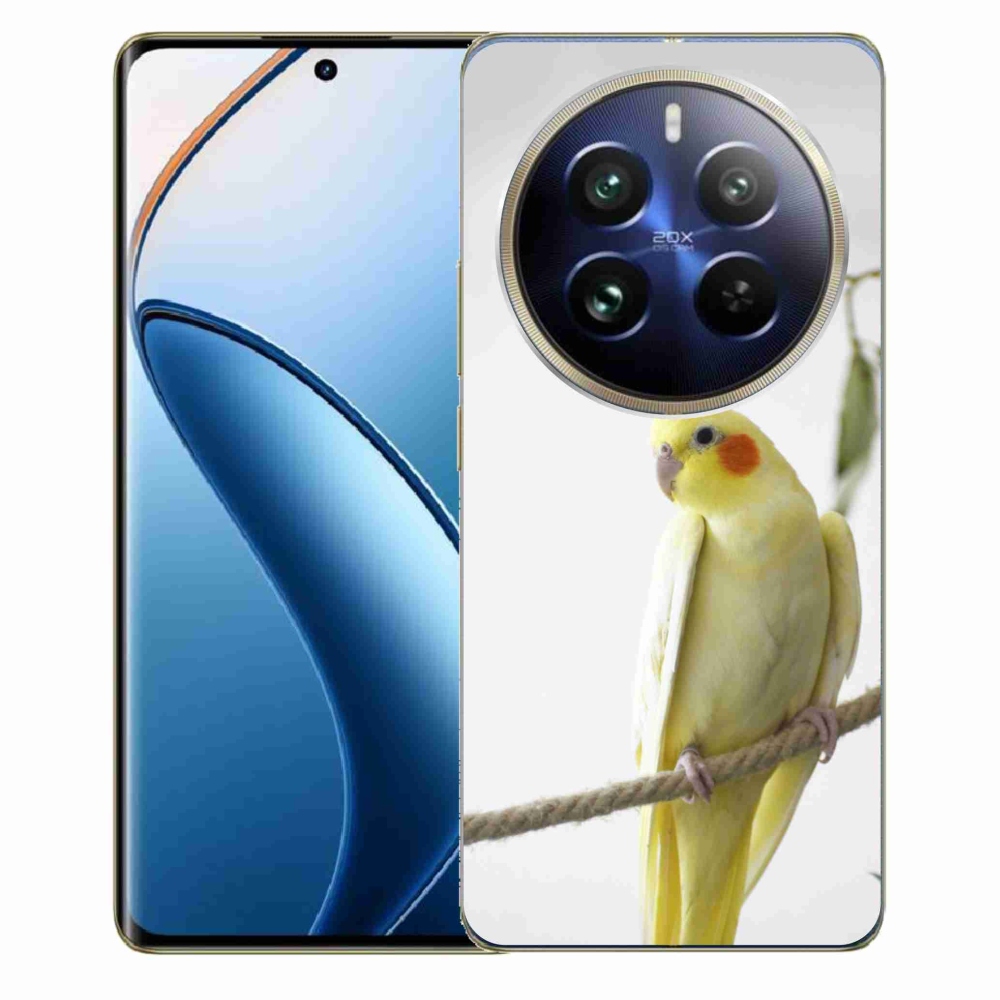 mmCase géltok a Realme 12 Pro 5G/12 Pro+ 5G készülékhez – tollas papagáj