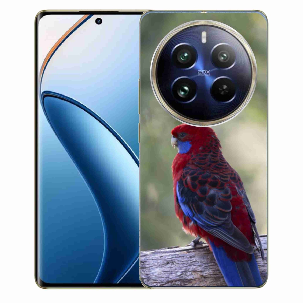 mmCase géltok a Realme 12 Pro 5G/12 Pro+ 5G készülékhez – rosella papagáj