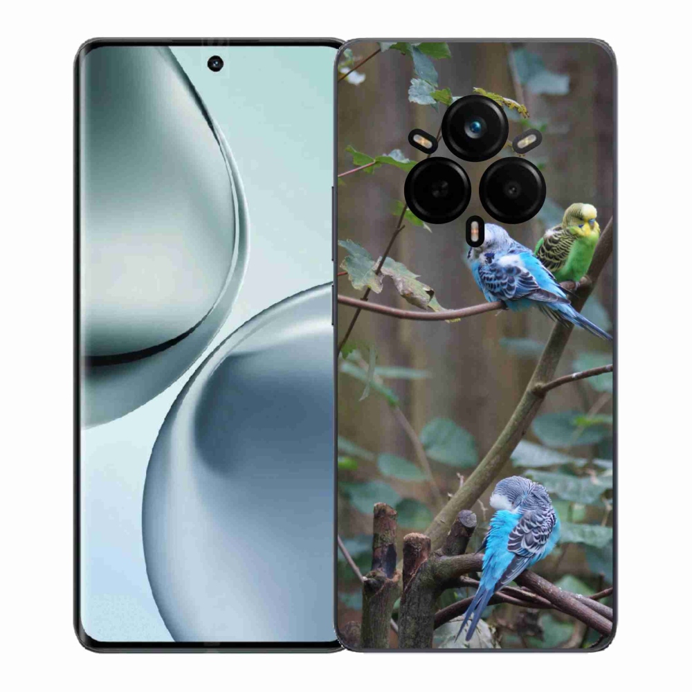 mmCase géltok a Realme 14 Pro+ 5G-hez – papagájok egy ágon