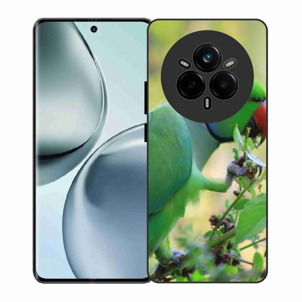 Gél borítás mmCase a Realme 14 Pro 5G készülékhez - papagáj alexandr