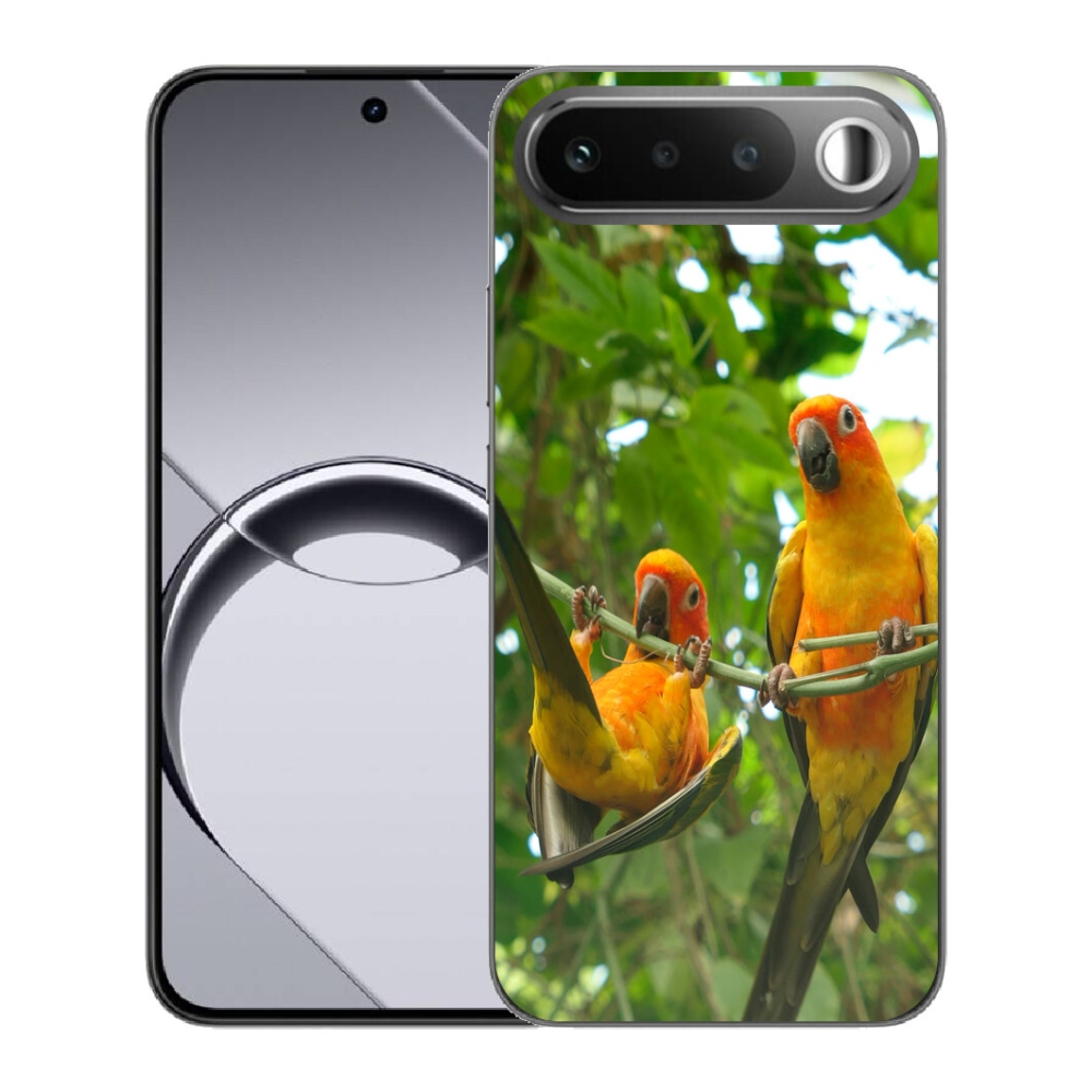 mmCase géltok a Realme 16 5G-hez – aratinga papagájok