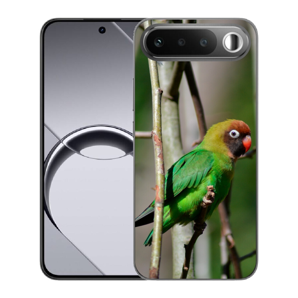 mmCase géltok a Realme 16 5G-hez – agapornis papagáj