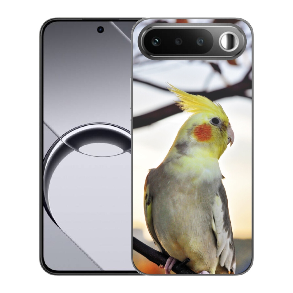 mmCase géltok a Realme 16 5G-hez – korella papagáj