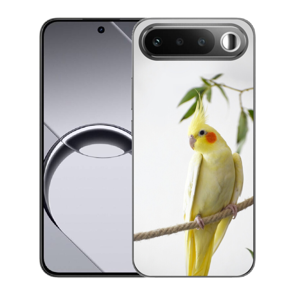 mmCase géltok a Realme 16 5G-hez – csomós papagáj