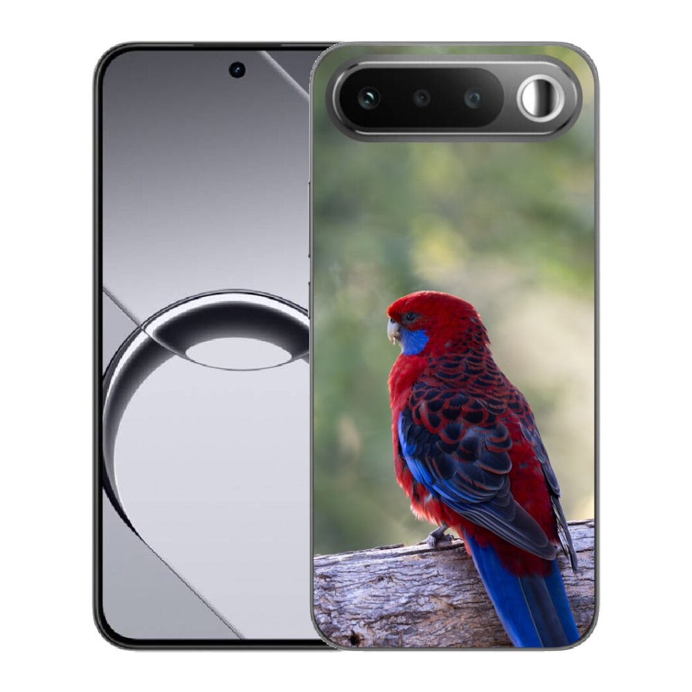 mmCase géltok a Realme 16 5G-hez – rosella papagáj
