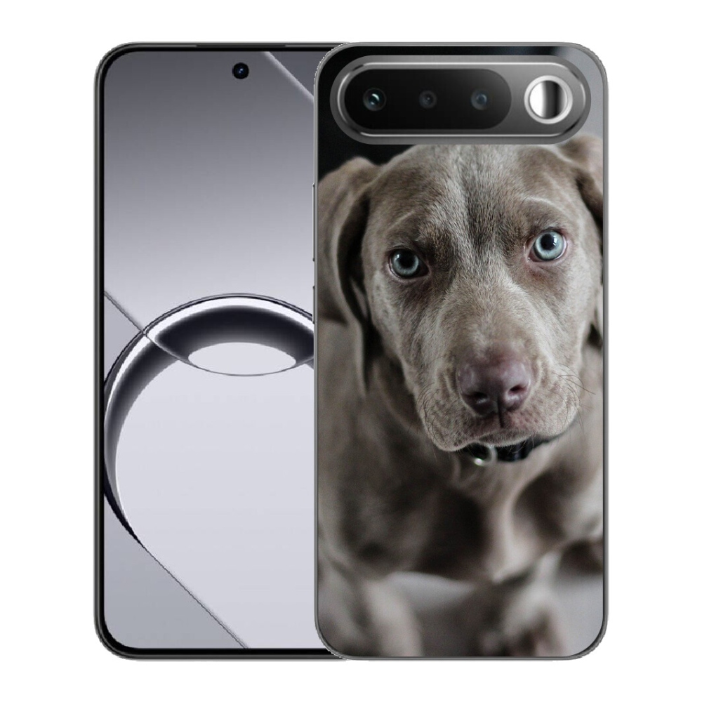 mmCase géltok a Realme 16 5G-hez – weimari vizsla