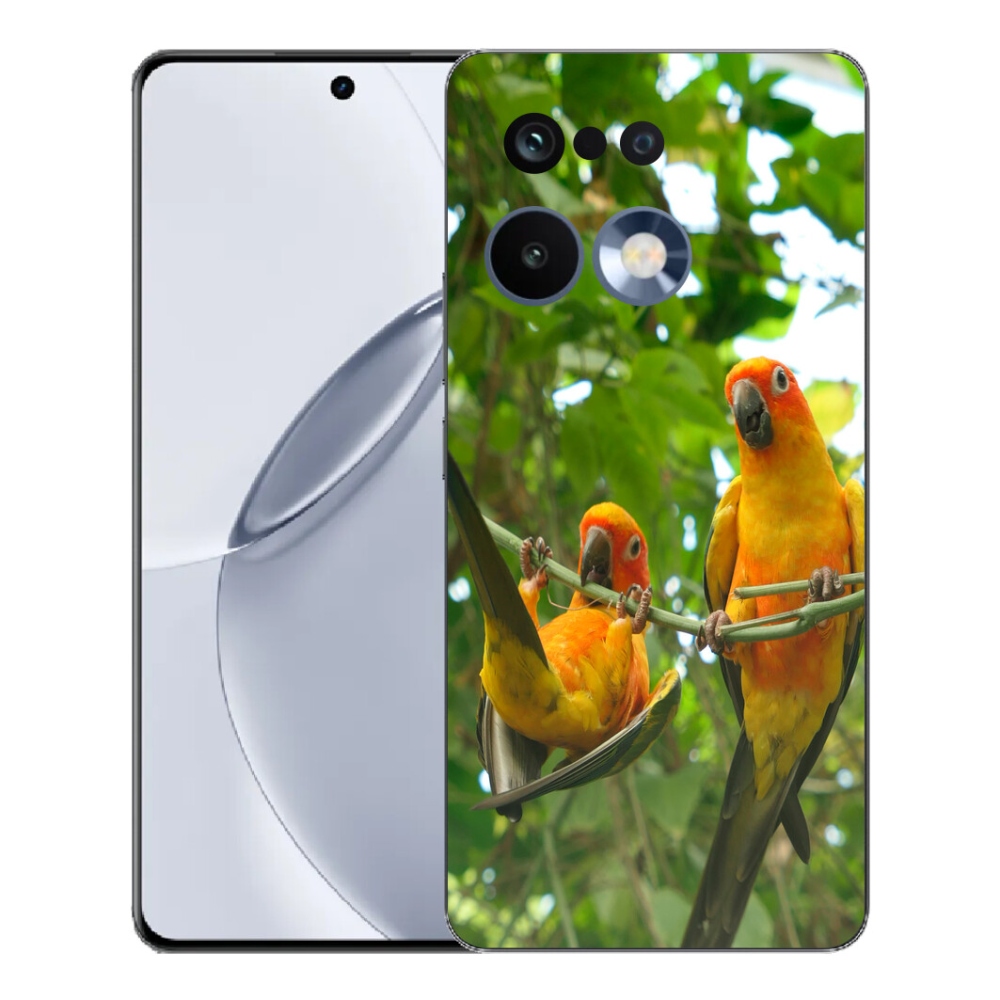 mmCase géltok a Realme 16 Pro+ készülékhez – aratingy papagájok