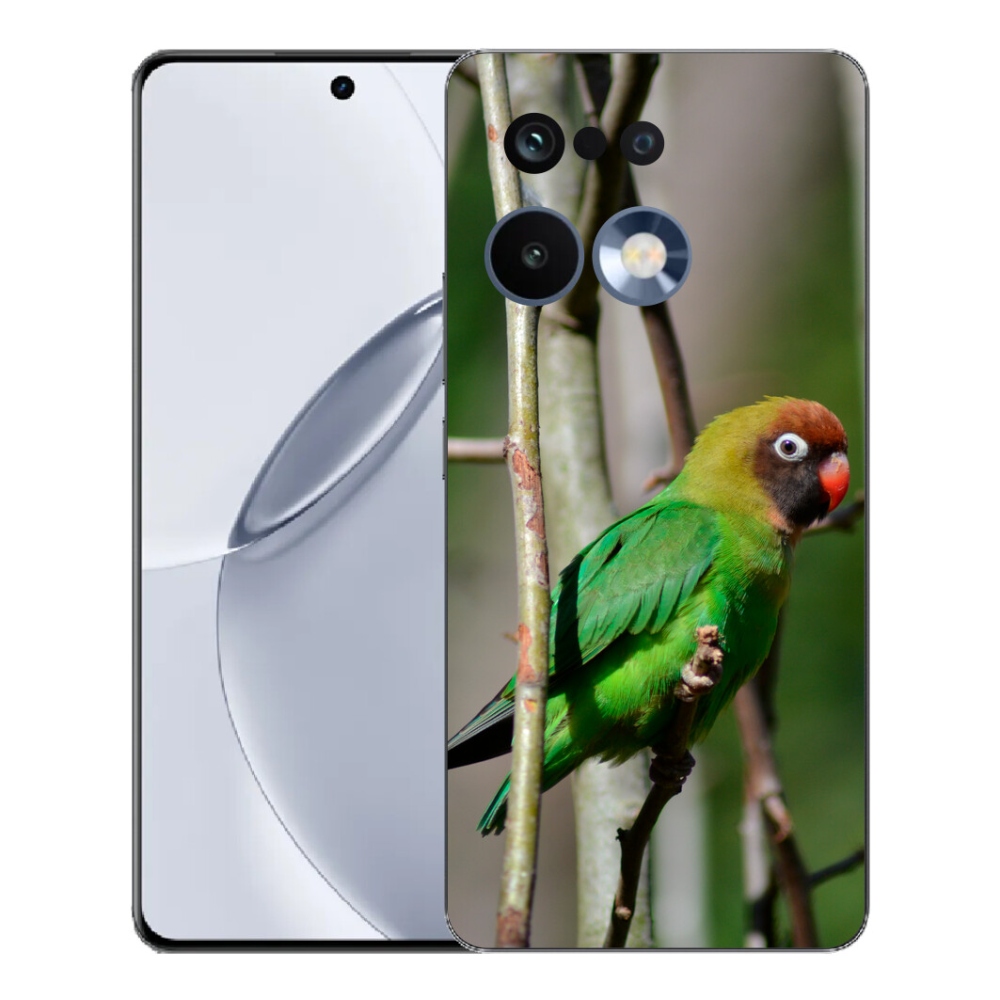 mmCase géltok a Realme 16 Pro+ készülékhez – agapornis papagáj