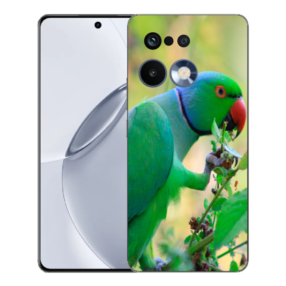 mmCase géltok a Realme 16 Pro+ készülékhez – alexandri papagáj