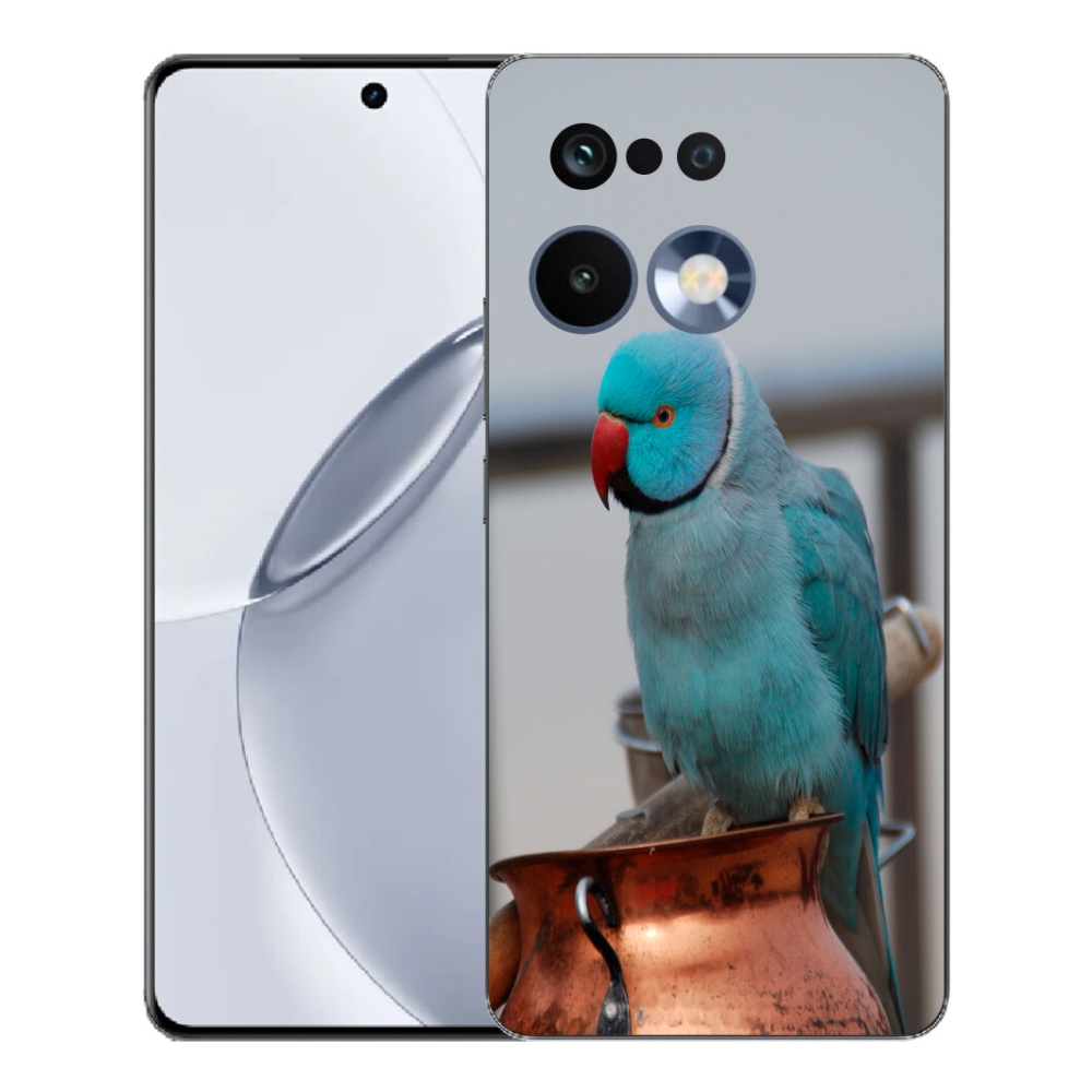 mmCase géltok a Realme 16 Pro+ készülékhez – kék alexandri papagáj