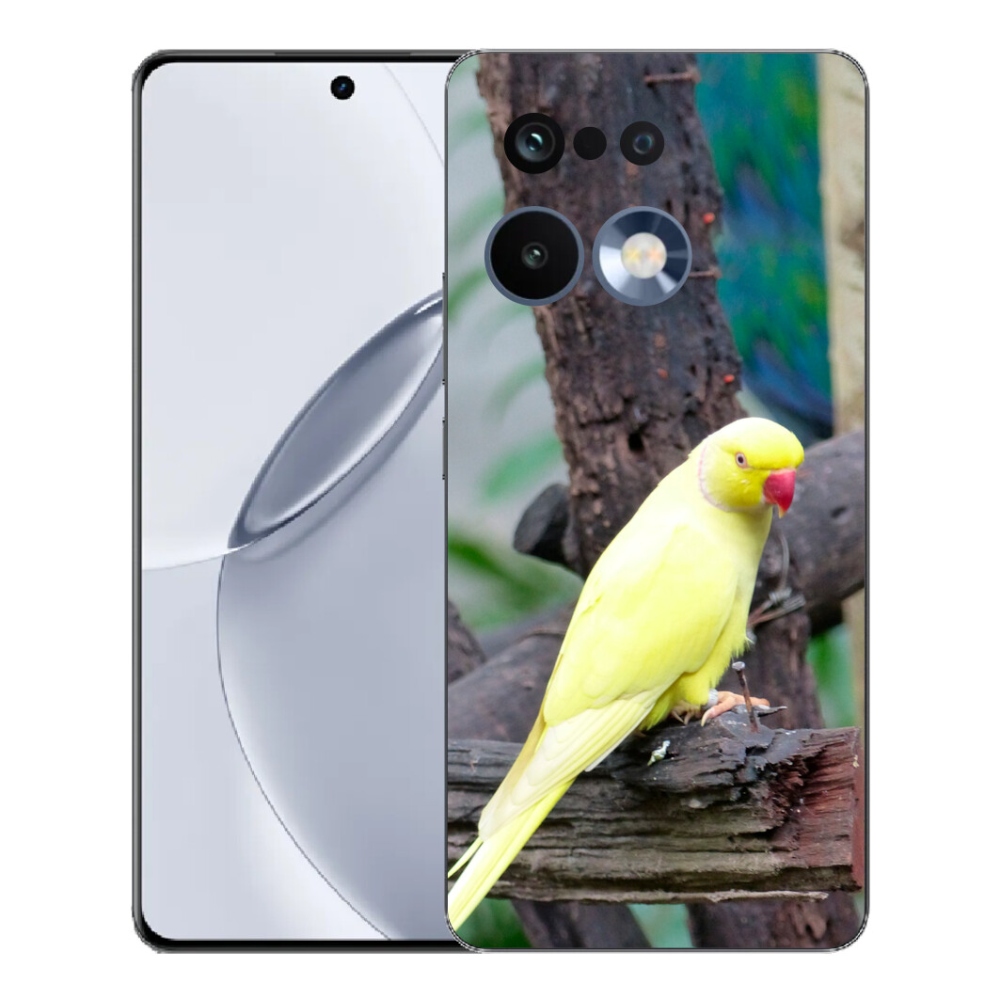 mmCase géltok a Realme 16 Pro+ készülékhez – sárga alexandri papagáj
