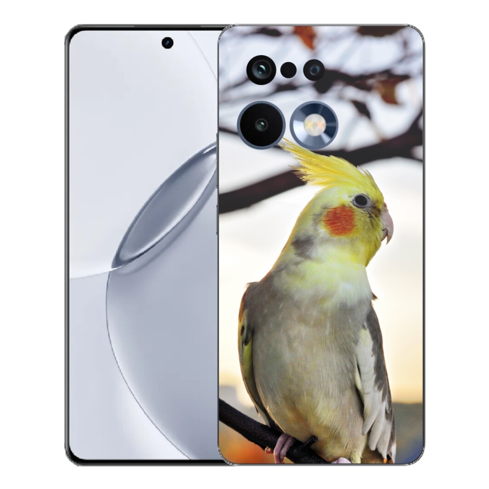 mmCase géltok a Realme 16 Pro+ készülékhez – korella papagáj
