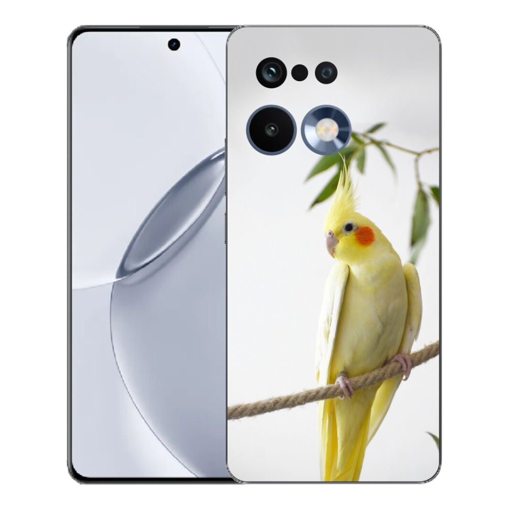 mmCase géltok a Realme 16 Pro+ készülékhez – tollas papagáj