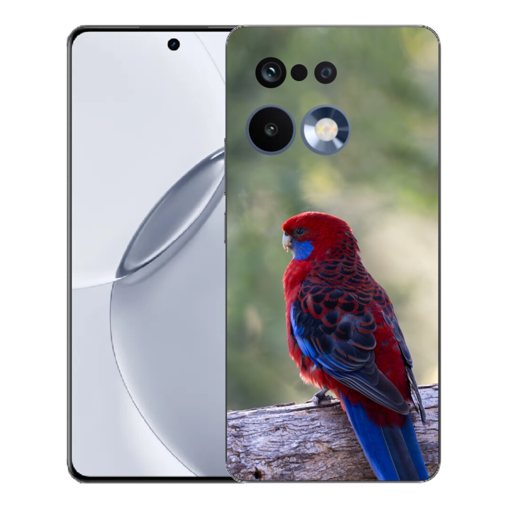 mmCase gélhuzat a Realme 16 Pro+ készülékhez – rosella papagáj