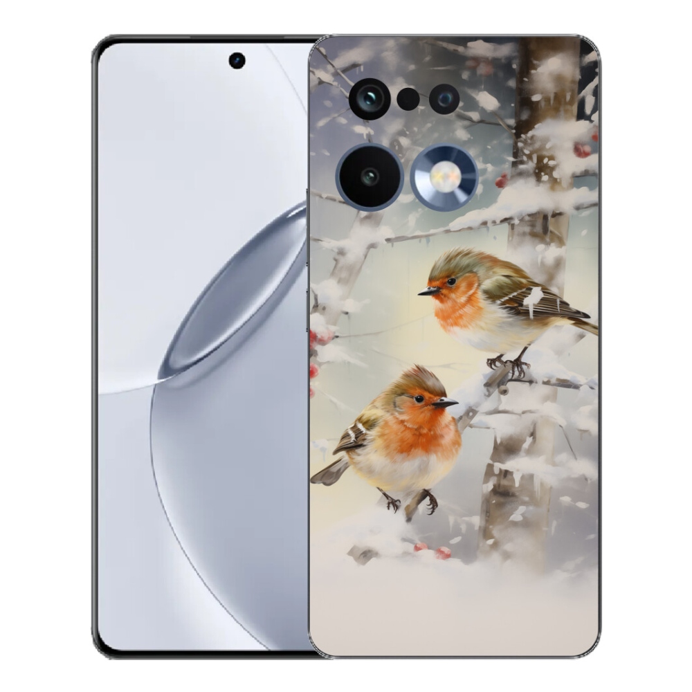 mmCase gélhuzat a Realme 16 Pro+ készülékhez – madarak télen