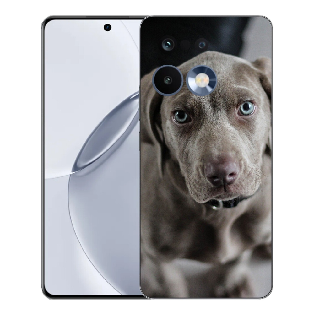 mmCase géltok a Realme 16 Pro+ készülékhez – weimari vizsla