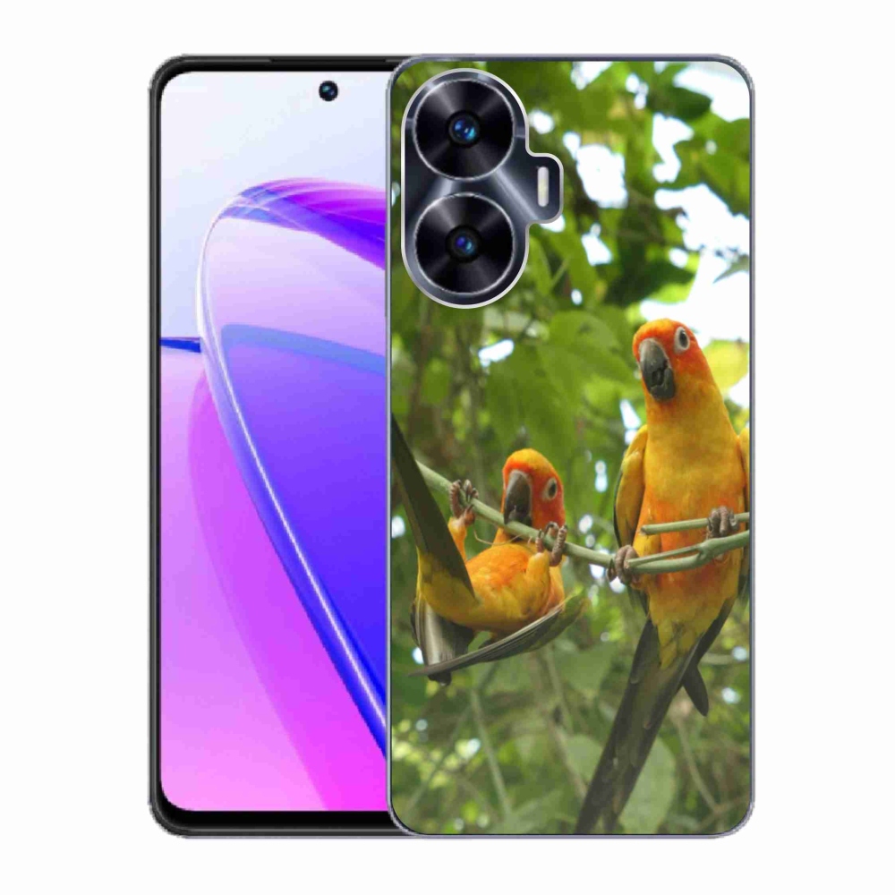 mmCase géltok a Realme C55-hez – aratinga papagájok