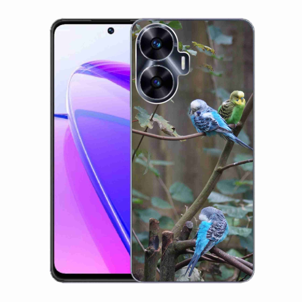 mmCase gél tok a Realme C55-hez – papagájok az ágon