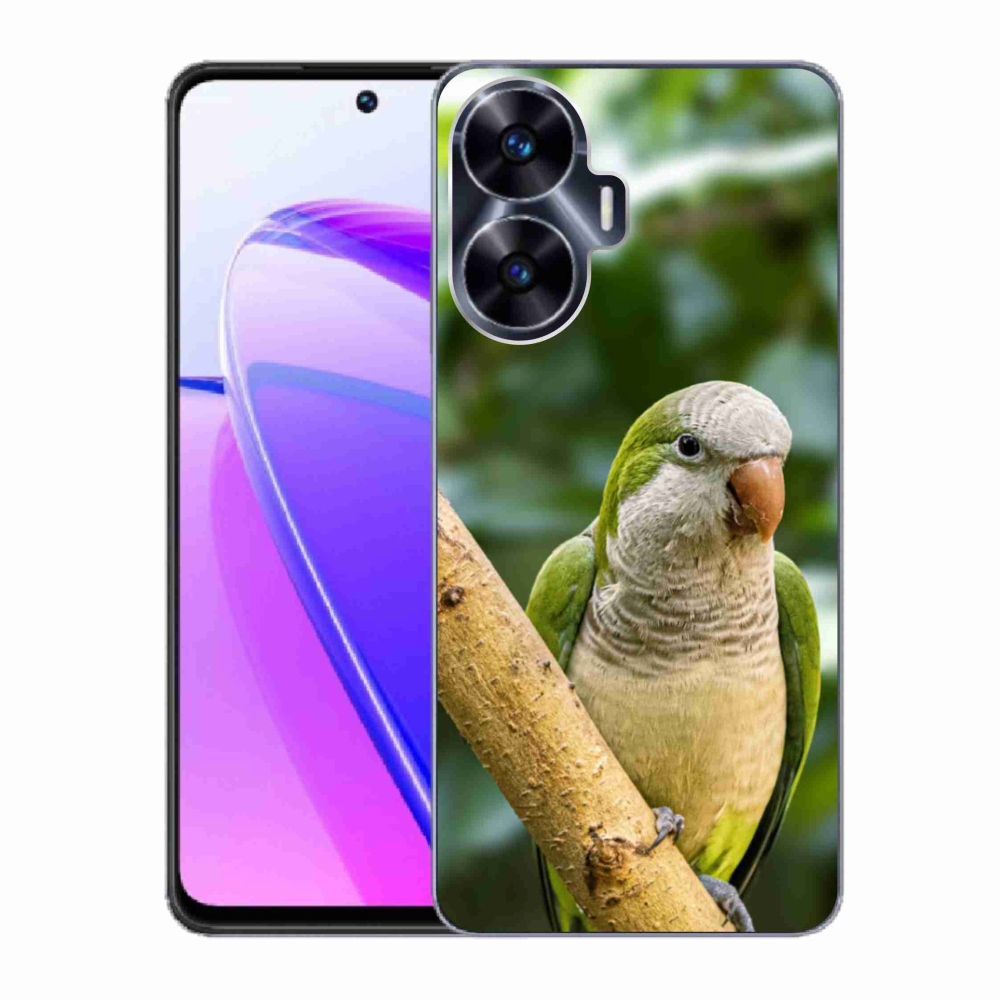 mmCase géltok a Realme C55-hez – papagáj és szerzetes