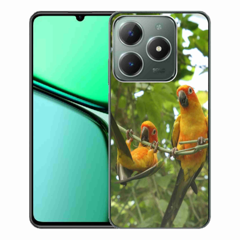 mmCase géltok a Realme C61-hez – aratinga papagájok