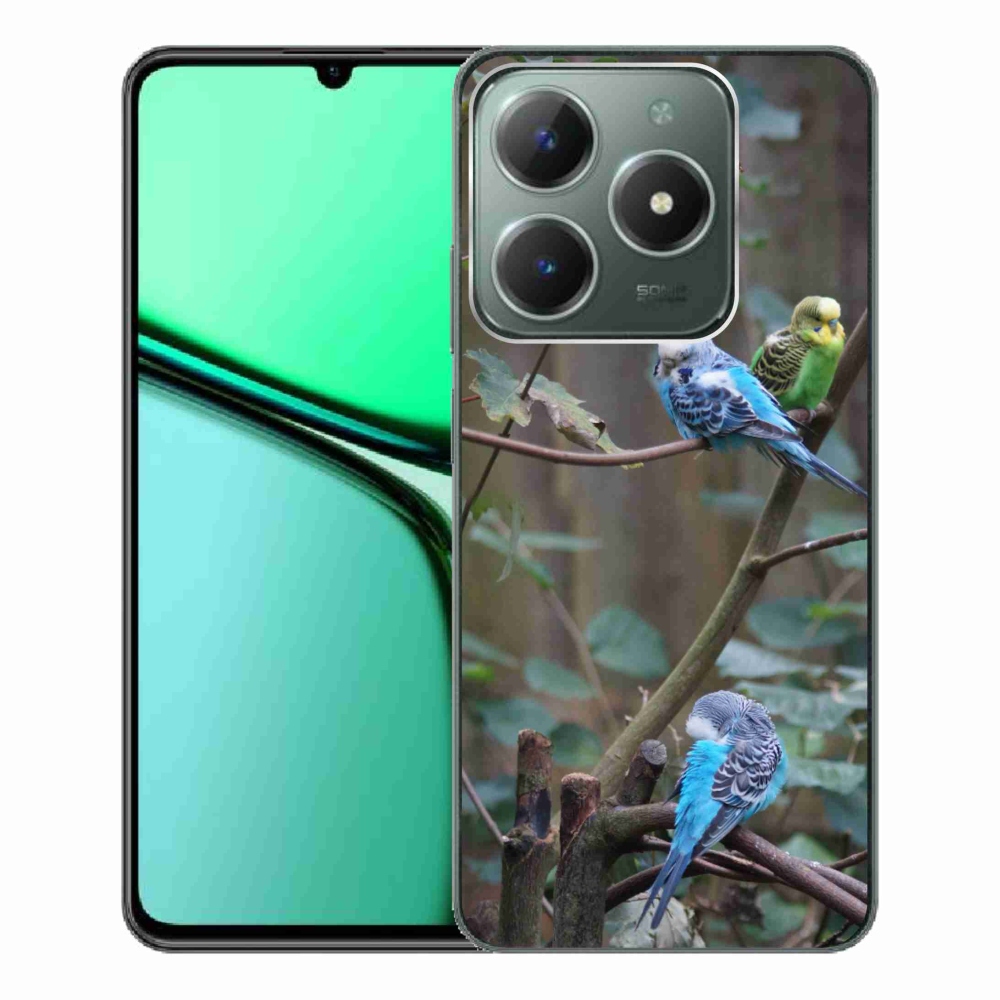mmCase géltok a Realme C61-hez – papagájok egy ágon