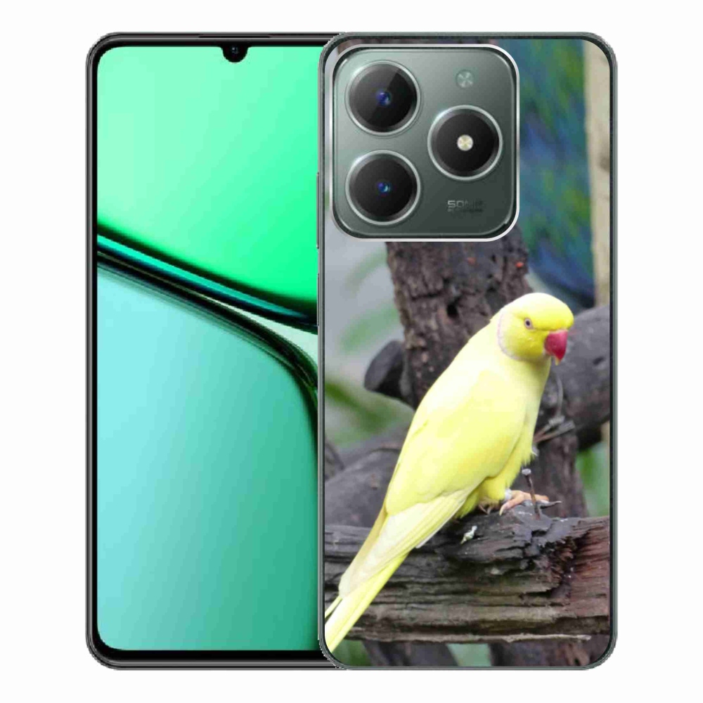 mmCase géltok a Realme C61-hez – sárga alexandri papagáj