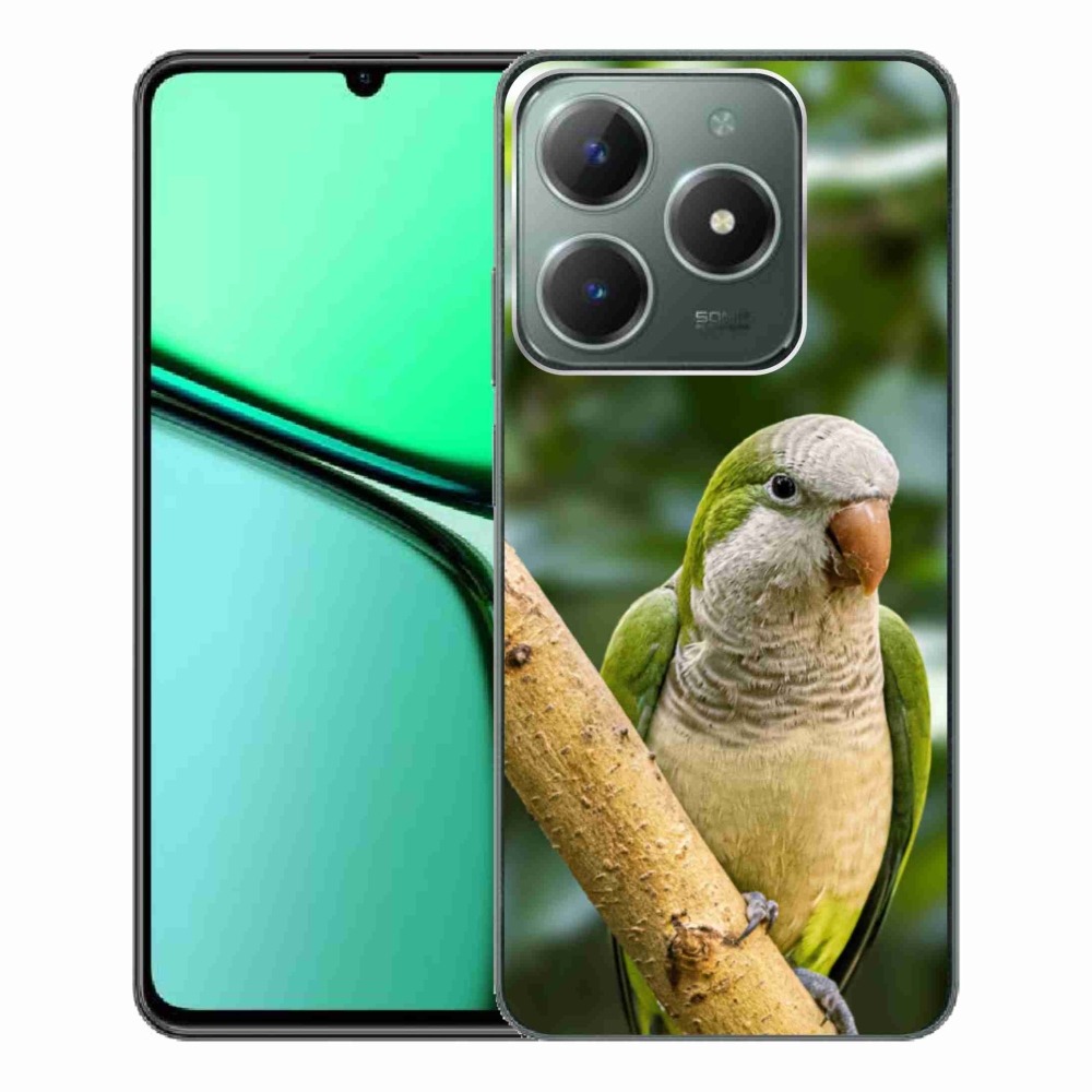 mmCase géltok a Realme C61-hez – papagáj és szerzetes