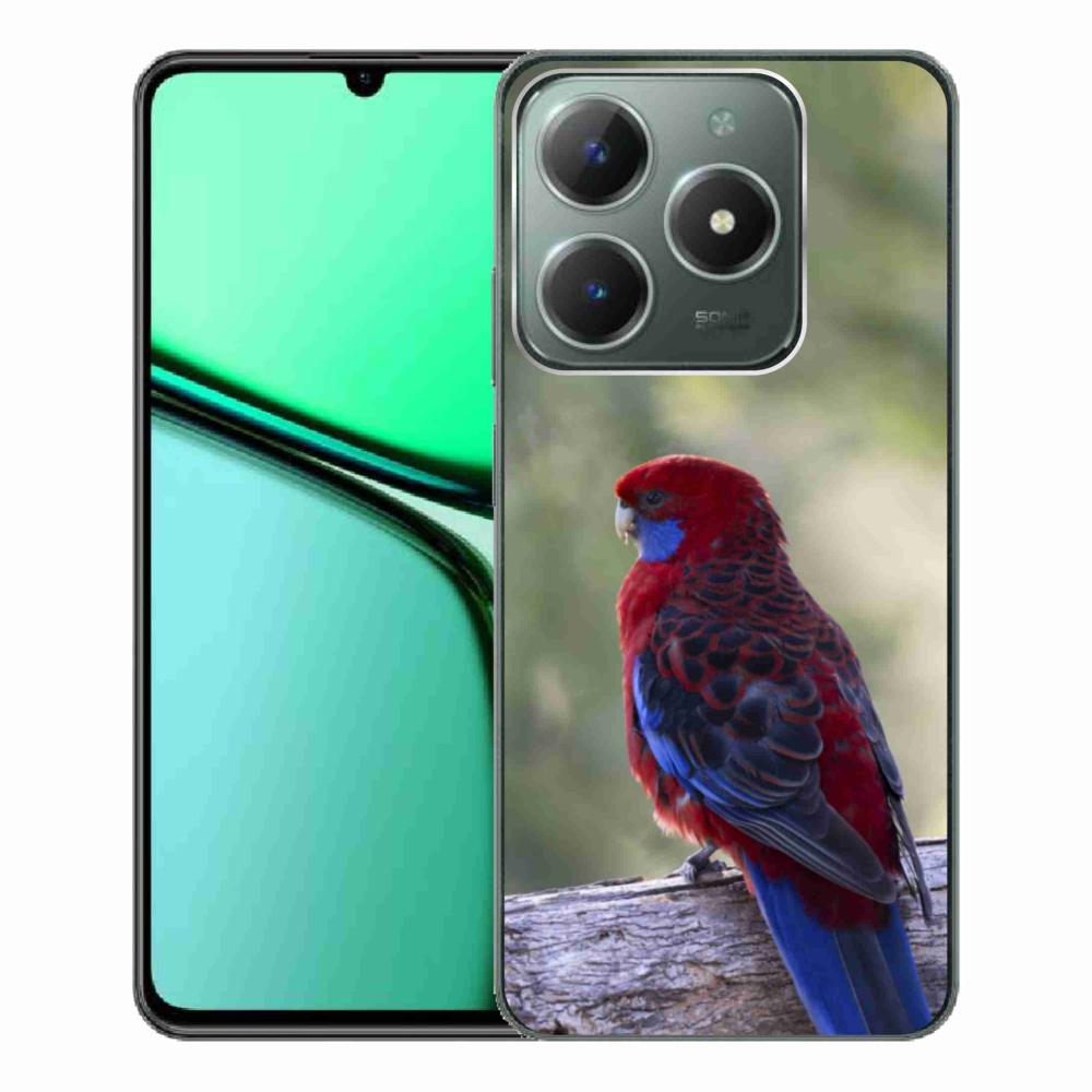 mmCase géltok a Realme C61-hez – Rosella papagáj