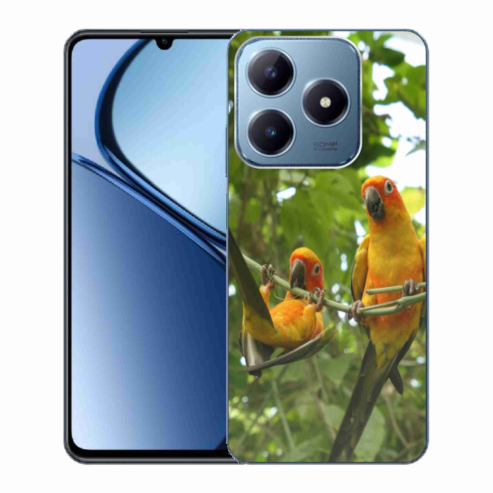 mmCase géltok a Realme C63-hoz – aratinga papagájok