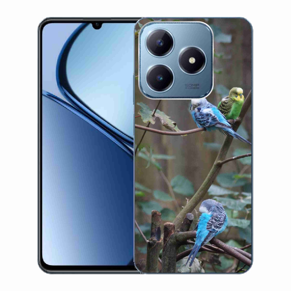mmCase géltok a Realme C63-hoz – papagájok az ágon